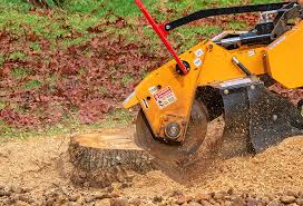 Best Aeration Services  in Tumter, WA