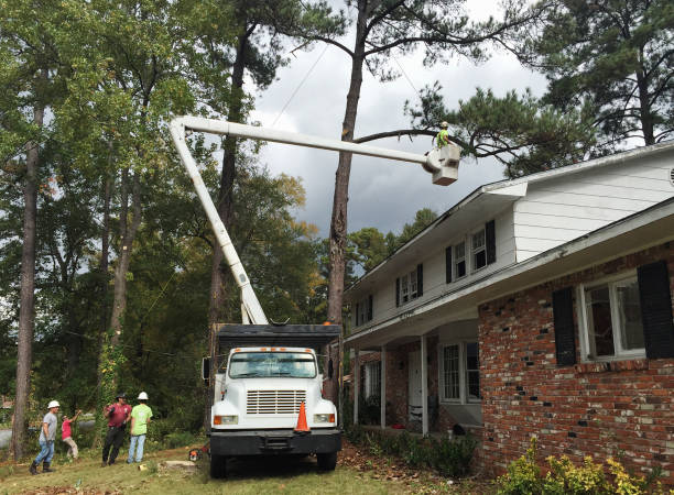 Best Storm Damage Tree Cleanup  in Tumter, WA