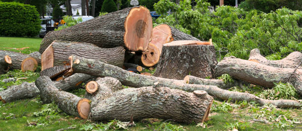  Tumter, WA Tree Care Pros
