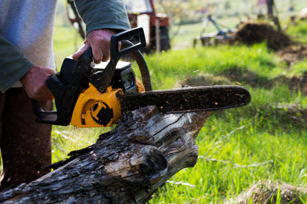 Best Lawn Watering Services  in Tumter, WA